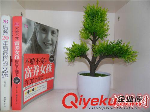 盆景 仿真綠植小盆栽盆景擺件套裝花藝室內(nèi)裝飾假用品盆栽裝飾花裝飾花原始圖片2