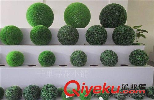 地毯草坪 廠家仿真植物工藝品裝飾 仿真草多型號(hào)仿真米蘭草球松針草球原始圖片3