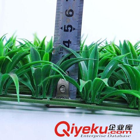 地毯草坪 廠家直銷環保無異味PE多用途商場酒店幼兒園草坪批發仿真人造草坪原始圖片3