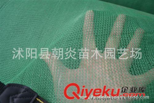 園藝工具 廠家直銷 遮陽網 6針黑色遮陽網 塑料網 遮陰網