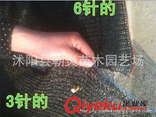 園藝工具 廠家直銷 遮陽網 6針黑色遮陽網 塑料網 遮陰網