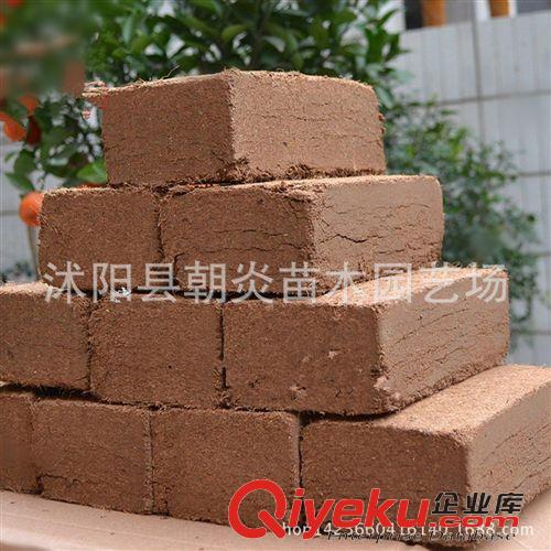 園藝工具 無菌壓縮  椰磚 椰粉磚 椰殼磚  花卉專用 高壓縮 650g左右