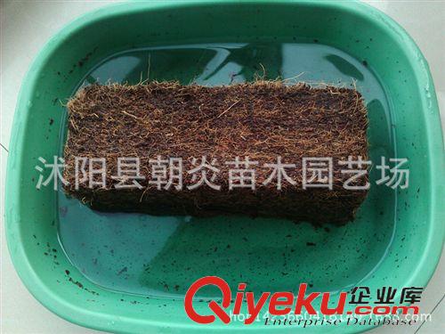 園藝工具 無菌壓縮  椰磚 椰粉磚 椰殼磚  花卉專用 高壓縮 650g左右