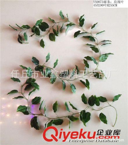 葉藤 批發(fā)水果藤條 小水果條 優(yōu)質(zhì)葉藤 果藤 藤蔓軟藤 裝飾品原始圖片3