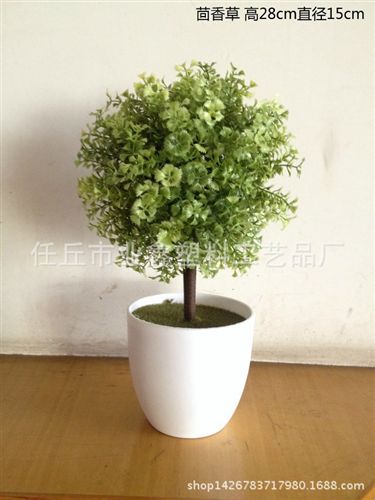 盆景 tj植物米蘭盆景辦公室小盆栽綠植花卉小樹批發花藝塑料仿