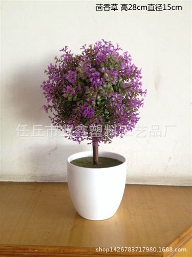 盆景 tj植物米蘭盆景辦公室小盆栽綠植花卉小樹批發花藝塑料仿原始圖片3