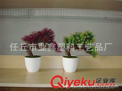 盆景 大量批發仿真小盆景 塑料盆景 裝飾盆景 盆花 裝飾擺件 仿原始圖片3