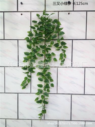 葉掛 仿真綠蘿吊蘭 壁掛裝飾藤條 假萬年青綠蘿/海棠 綠植掛壁墻