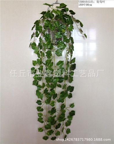 葉掛 批發 壁掛藤條葉子 gf真綠色吊蘭 綠蘿塑料假花裝飾 植物墻