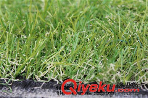人工草坪 五級一級代理803PVC軍綠帶枯草4色足球場適用50平方地毯人造草坪原始圖片2