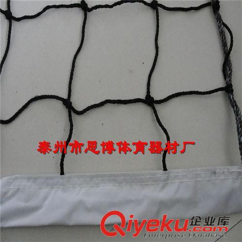 排球用品 排球網(wǎng)標準排球網(wǎng)比賽專用排球網(wǎng)廠家直銷原始圖片2