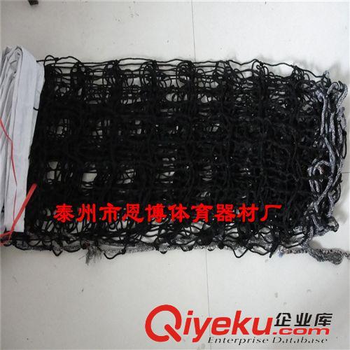 排球用品 排球網(wǎng)標準排球網(wǎng)比賽專用排球網(wǎng)廠家直銷原始圖片3