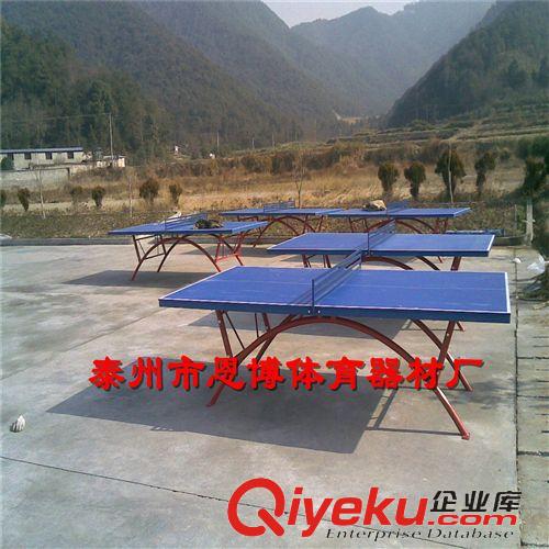 乒乓球用品 供應豪華型室外乒乓球臺學校、bd專用原始圖片2