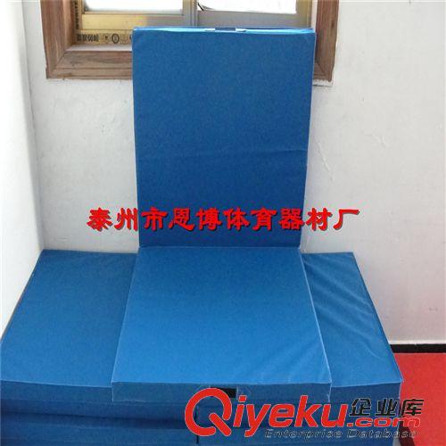 體操用品 中小學(xué)生運(yùn)動(dòng)體操墊折疊式舞蹈墊仰臥起座訓(xùn)練墊子