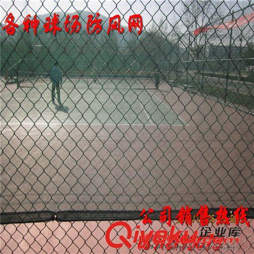 防風(fēng)網(wǎng) 專(zhuān)業(yè)定做 高密度網(wǎng)球場(chǎng)防風(fēng)網(wǎng) 網(wǎng)球場(chǎng)隔離PE材質(zhì)雙面球場(chǎng)擋風(fēng)網(wǎng)原始圖片3