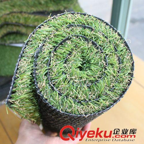 幼兒園草草 樓頂陽臺人造草坪幼兒園 gf真人工草皮塑料草坪廠家直銷原始圖片2