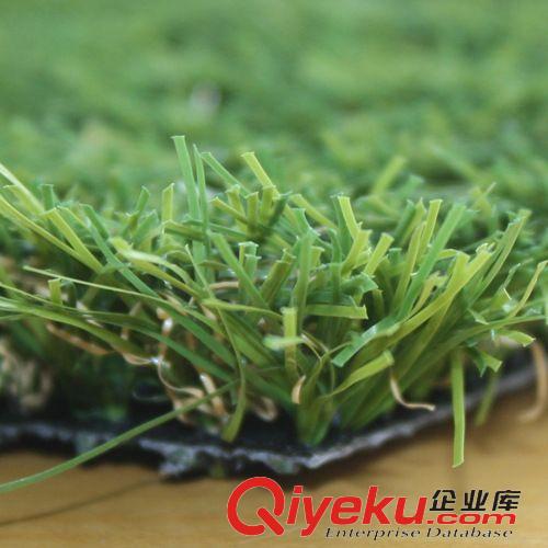 30-40mm 塑膠跑道幼兒園人造草 威騰超逼真塑料草坪  人工草皮生產(chǎn)廠家原始圖片2