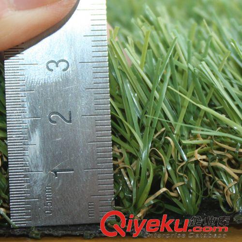 30-40mm 塑膠跑道幼兒園人造草 威騰超逼真塑料草坪  人工草皮生產(chǎn)廠家原始圖片3