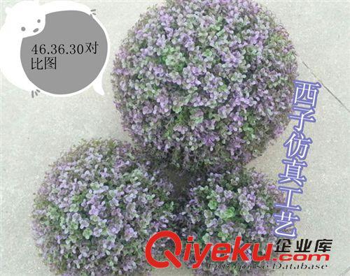 仿真草球 廠家直銷{dj2}發(fā)行新品仿真金錢葉草球仿真草坪，商場家居綠化裝飾原始圖片3