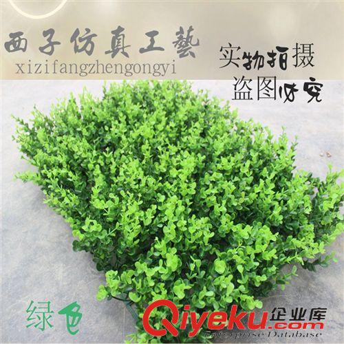 仿真草坪 40*60仿真金錢葉草坪尤加利塑料草坪綠化裝飾工程綠化裝飾草坪原始圖片2