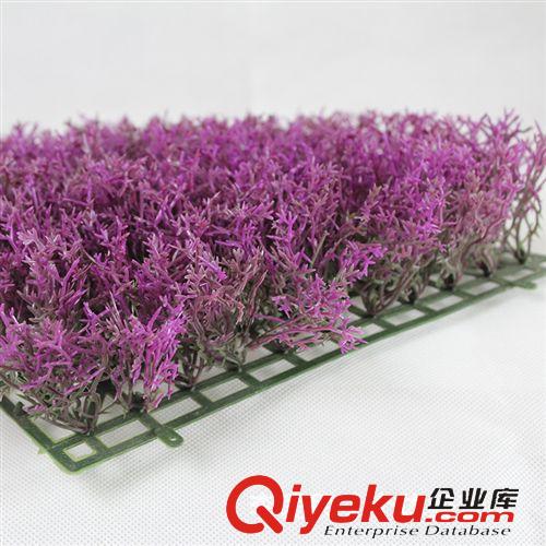 仿真草坪 義烏廠家直銷~普羅旺斯薰衣草草坪。塑料草坪草球薰衣草仿真草坪原始圖片3
