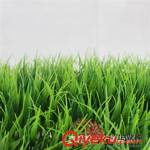 仿真草坪 廠家直銷30*30cm仿真大秧苗草坪 人造塑料仿真草坪批發(fā)原始圖片2