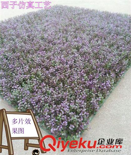仿真草坪 廠家直銷40*60cm仿真金錢葉草坪尤加利塑料人造草坪仿真花批發(fā)原始圖片2