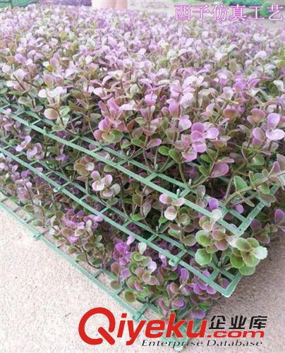 仿真草坪 廠家直銷40*60cm仿真金錢葉草坪尤加利塑料人造草坪仿真花批發(fā)原始圖片3