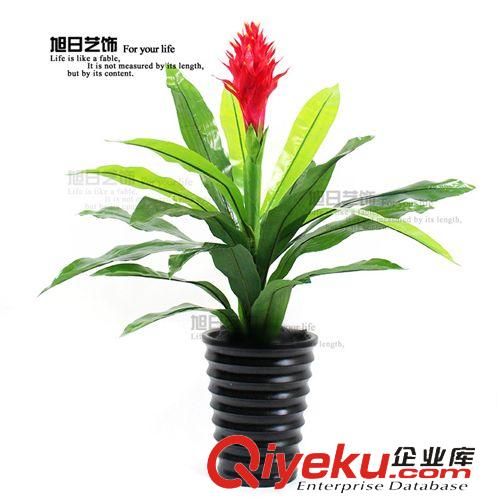 仿真植物系列 淘宝新品款式   单头鸿运当头树95cm 仿真植物装饰工程 外贸精品