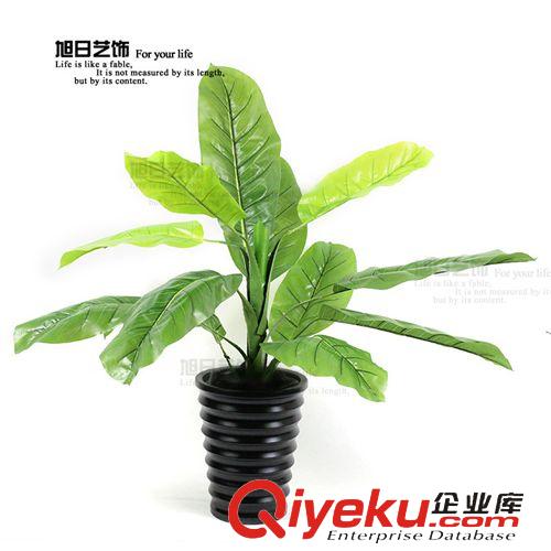 仿真植物系列 经典热卖新品 1米滴水观音 手感胶仿真树 工程专用绿色植物