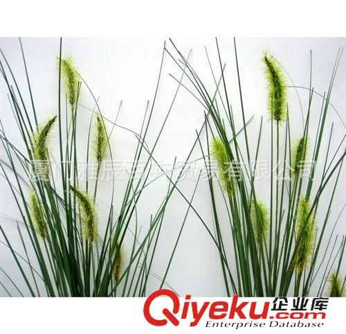 仿真草系列 仿真植物 gdPVC手工仿真洋蔥草 裝飾仿真狗尾草 人造狗尾巴草