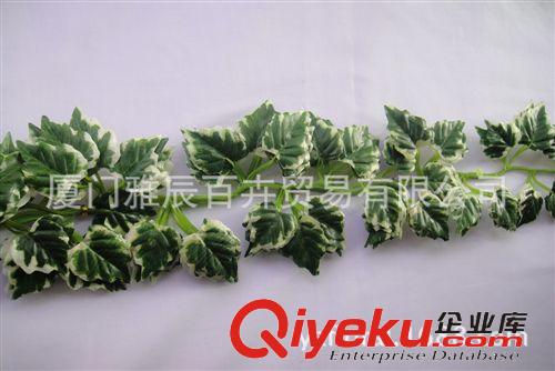 仿真藤條壁掛系列 gd仿真壁掛白邊提子 綠色手工制作裝飾用仿真壁掛提子