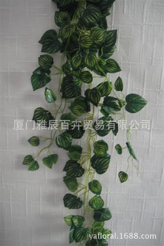 仿真藤條壁掛系列 廠家直銷 gd仿真藤條西瓜葉子壁掛藤條 手工仿真植物仿真葉子