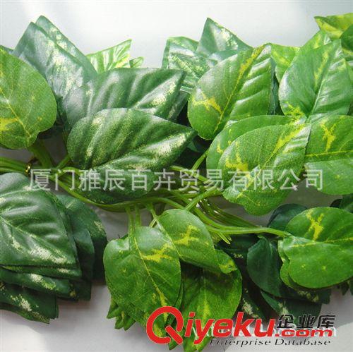 仿真藤條壁掛系列 廠家批發(fā) gd仿真壁掛萬年青 手工制作裝飾用仿真壁掛葉子