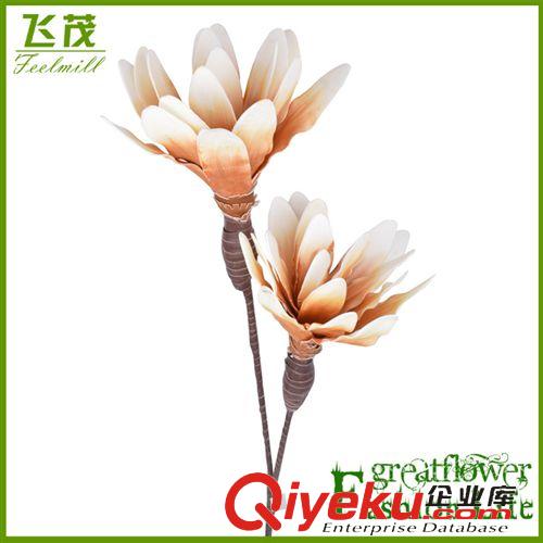 四季熱銷(xiāo)花 EVA仿真花 歐式gd居家裝飾花 單枝2頭泡沫花批發(fā)