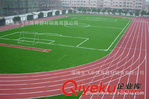體育工程 體育場(chǎng)護(hù)欄網(wǎng) 運(yùn)動(dòng)場(chǎng)護(hù)欄網(wǎng) 體育場(chǎng)圍網(wǎng) 專業(yè)品質(zhì) 現(xiàn)貨供應(yīng)