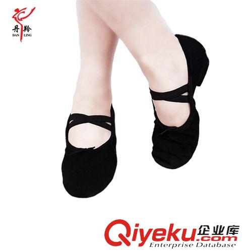 成人拉丁舞系列 批發(fā)丹羚成人女式帆布教師舞蹈鞋 軟底室內(nèi)民族舞練功鞋 代理加盟原始圖片2