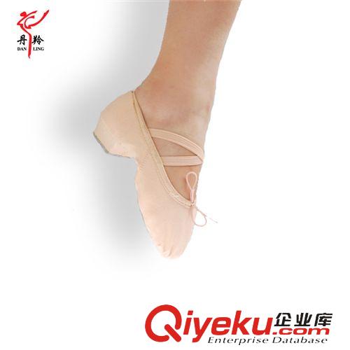 成人拉丁舞系列 批發(fā)丹羚成人女式帆布教師舞蹈鞋 軟底室內(nèi)民族舞練功鞋 代理加盟原始圖片3