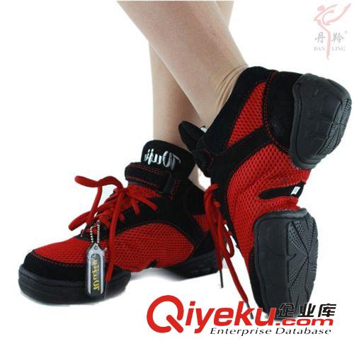 丹羚 批發(fā)秋季網(wǎng)面現(xiàn)代舞蹈鞋 軟底透氣廣場舞鞋女 代理加盟 一件代發(fā)原始圖片2