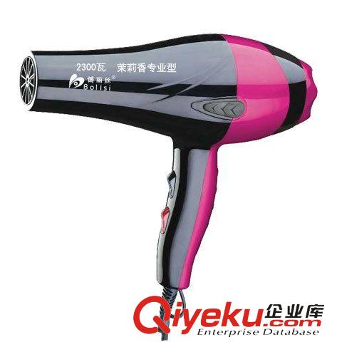 電吹風 廠家直銷 大功率電吹風 專業電吹風 家用電吹風 靜音電吹風