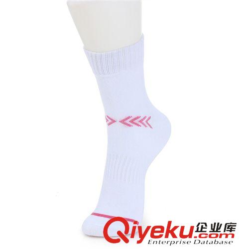 運動襪 供應(yīng)批發(fā) zpetto英途運動女短襪原始圖片3