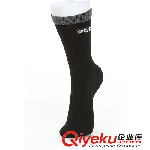 運動襪 供應(yīng)批發(fā) zpetto英途運動短襪原始圖片3