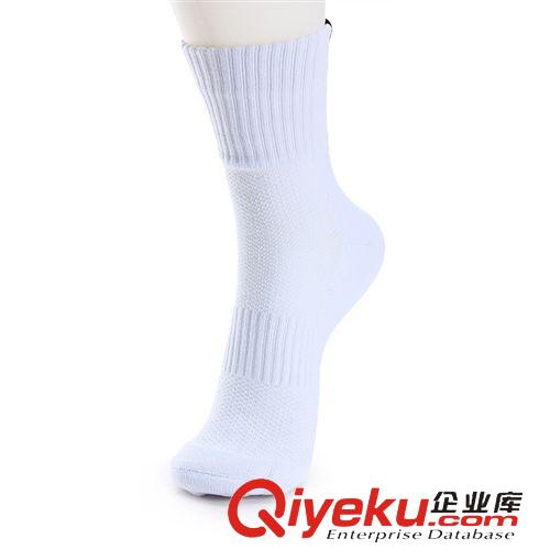 運動襪 供應(yīng)批發(fā) zpetto英途運動男短襪