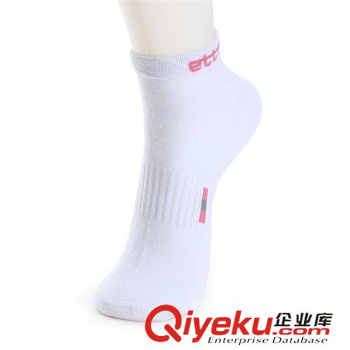 運動襪 供應(yīng)批發(fā) 正品etto英途運動女短襪原始圖片3