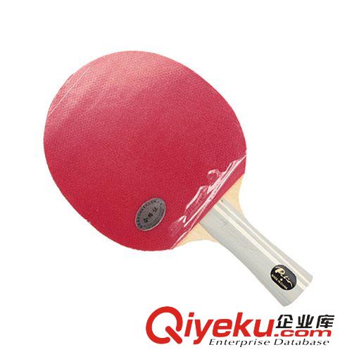 拍里奧乒乓系列 正品批發(fā)拍里奧Palio乒乓球拍 一星成品拍雙面反膠訓練拍 單支裝原始圖片2