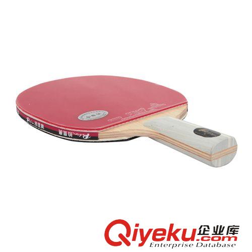 拍里奧乒乓系列 正品批發(fā)拍里奧Palio乒乓球拍 一星成品拍雙面反膠訓練拍 單支裝原始圖片3