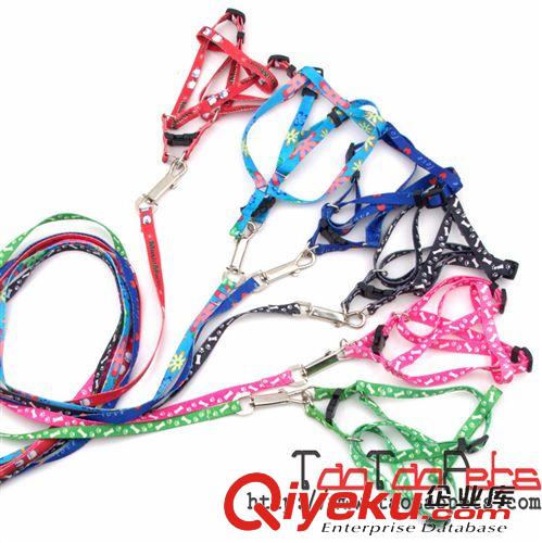 牽引繩項(xiàng)圈-皮皮淘 現(xiàn)貨批發(fā)經(jīng)濟(jì)型寵物牽引帶 滌綸印花小狗牽引繩 1.0CM 可混批原始圖片2
