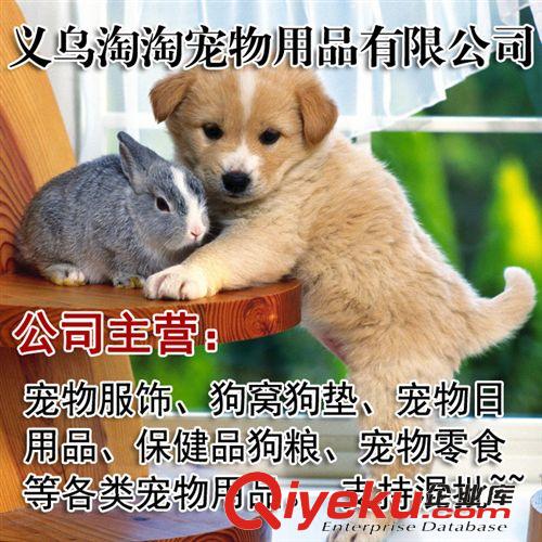 寵物玩具-皮皮淘 現貨批發橡膠實心彩色寵物彈力球 彈性好 中號6.3CM原始圖片3