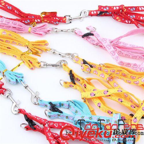 皮皮淘品牌專區(可天貓授權) 批發皮皮淘品牌 高xjb時尚貼布寵物牽引繩 1.5*120CM原始圖片3