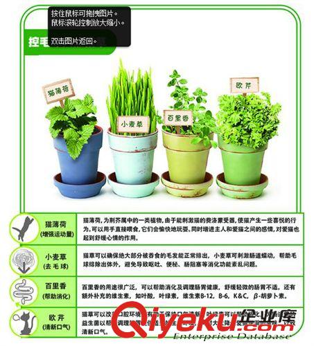 柏可心零食系列 寵物零食 柏可心 控毛球tr貓草4合1 去毛球 貓咪零食25g原始圖片2